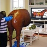 Horse Backside Screen - Photoshop
